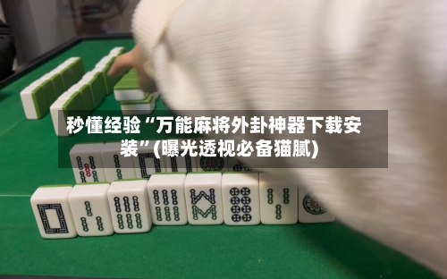 秒懂经验“万能麻将外卦神器下载安装”(曝光透视必备猫腻)-第1张图片