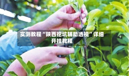 实测教程“陕西挖坑辅助透视”详细开挂教程-第1张图片