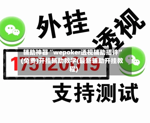 辅助神器“wepoker透视辅助插件	”(免费)开挂辅助教学(最新辅助开挂教程)-第1张图片