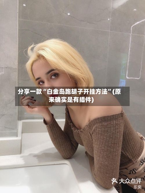 分享一款“白金岛跑胡子开挂方法	”(原来确实是有插件)-第1张图片