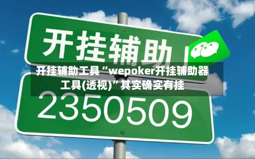 开挂辅助工具“wepoker开挂辅助器工具(透视)”其实确实有挂-第1张图片