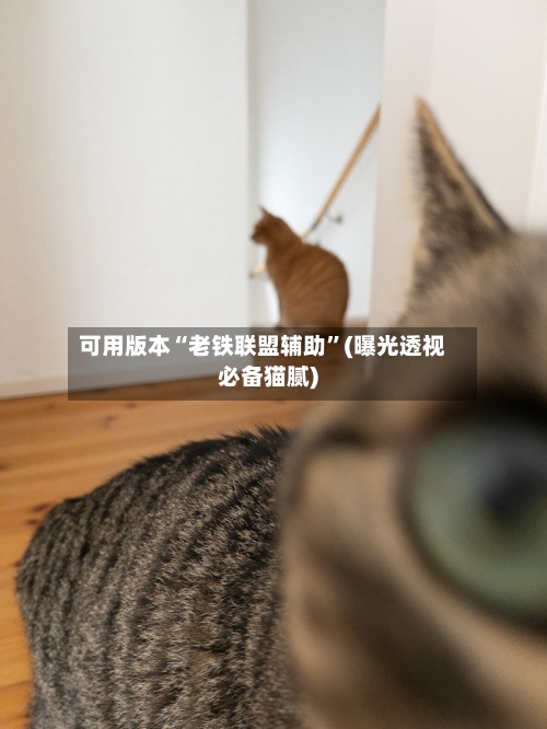 可用版本“老铁联盟辅助”(曝光透视必备猫腻)-第1张图片