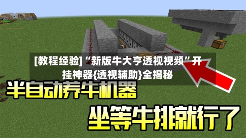 [教程经验]“新版牛大亨透视视频	”开挂神器{透视辅助}全揭秘-第1张图片