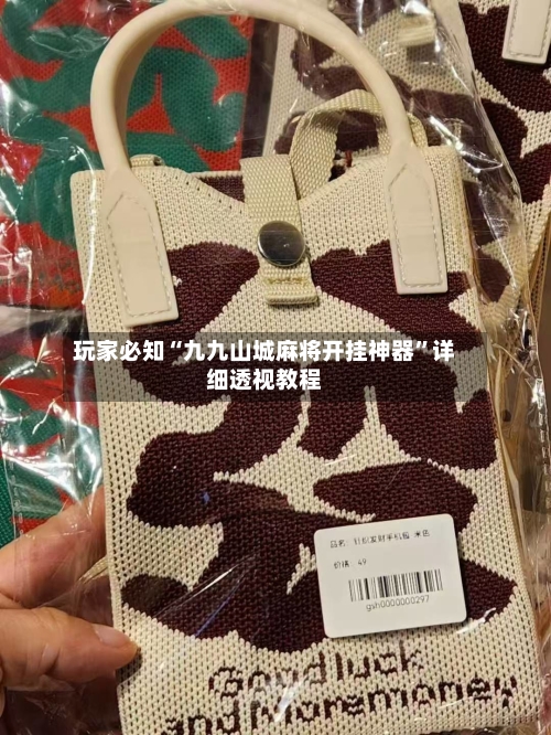 玩家必知“九九山城麻将开挂神器”详细透视教程-第1张图片