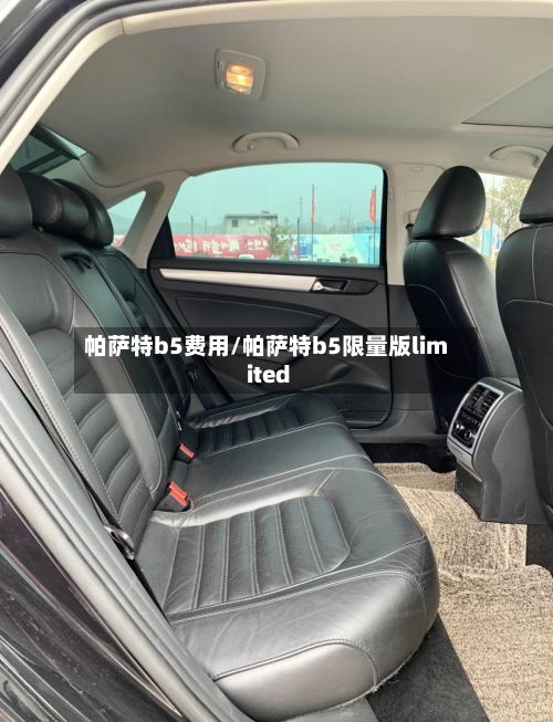 帕萨特b5费用/帕萨特b5限量版limited-第1张图片