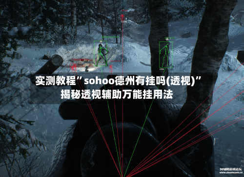 实测教程”sohoo德州有挂吗(透视)”揭秘透视辅助万能挂用法-第1张图片