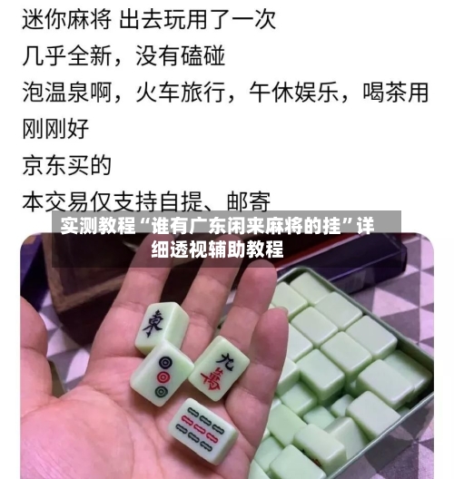 实测教程“谁有广东闲来麻将的挂”详细透视辅助教程-第1张图片