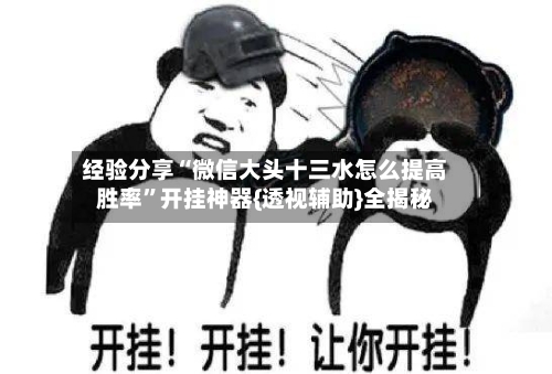 经验分享“微信大头十三水怎么提高胜率	”开挂神器{透视辅助}全揭秘-第1张图片