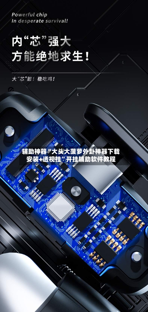 辅助神器“大头大菠萝外卦神器下载安装+透视挂”开挂辅助软件教程-第1张图片