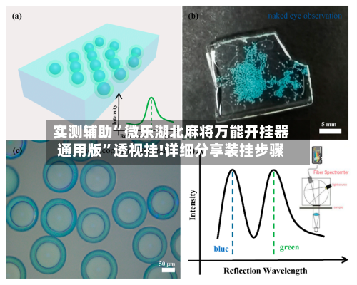 实测辅助”微乐湖北麻将万能开挂器通用版	”透视挂!详细分享装挂步骤-第1张图片