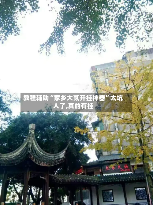 教程辅助“家乡大贰开挂神器	”太坑人了,真的有挂-第1张图片