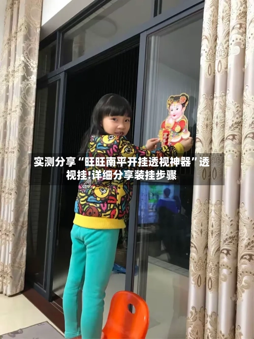 实测分享“旺旺南平开挂透视神器”透视挂!详细分享装挂步骤-第1张图片