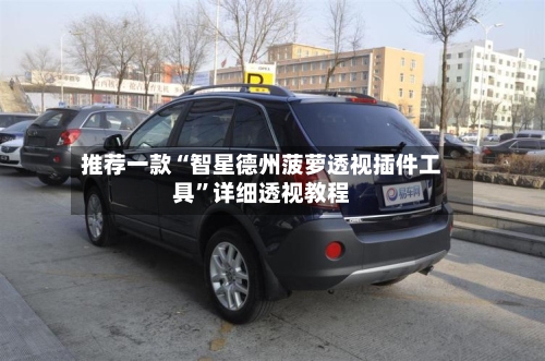 推荐一款“智星德州菠萝透视插件工具	”详细透视教程-第1张图片