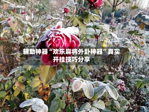 辅助神器“欢乐麻将外卦神器”真实开挂技巧分享-第1张图片
