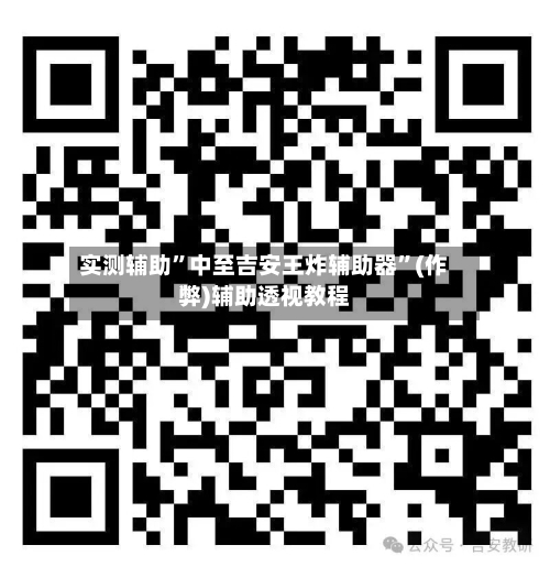 实测辅助	”中至吉安王炸辅助器”(作弊)辅助透视教程-第1张图片