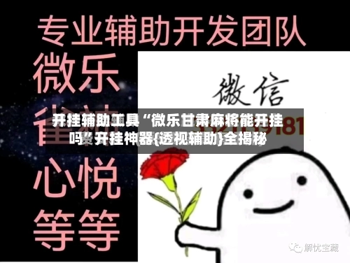 开挂辅助工具“微乐甘肃麻将能开挂吗	”开挂神器{透视辅助}全揭秘-第1张图片