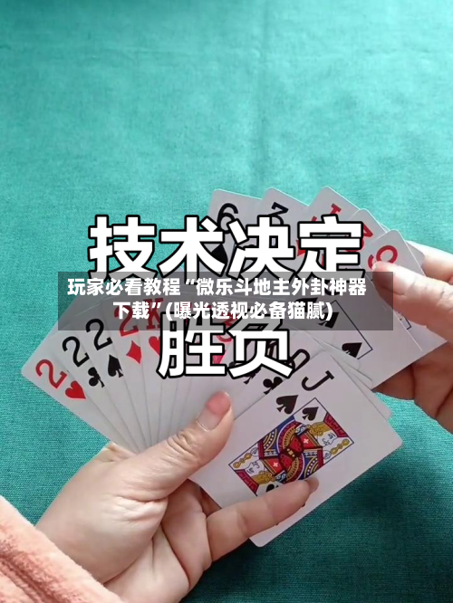 玩家必看教程“微乐斗地主外卦神器下载”(曝光透视必备猫腻)-第1张图片