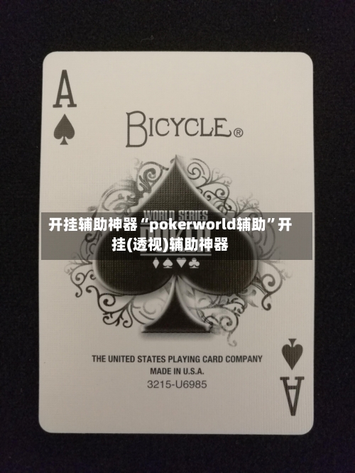 开挂辅助神器“pokerworld辅助	”开挂(透视)辅助神器-第1张图片