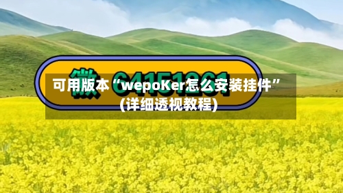 可用版本“wepoKer怎么安装挂件”(详细透视教程)-第1张图片