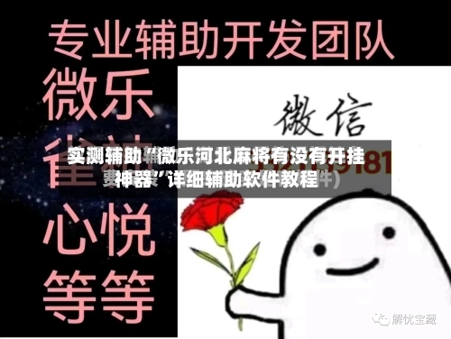 实测辅助“微乐河北麻将有没有开挂神器”详细辅助软件教程-第1张图片