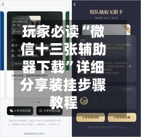 玩家必读“微信十三张辅助器下载	”详细分享装挂步骤教程-第1张图片
