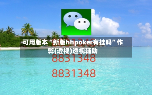 可用版本“新版hhpoker有挂吗	”作弊(透视)透视辅助-第1张图片