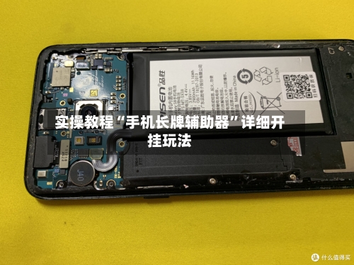 实操教程“手机长牌辅助器”详细开挂玩法-第1张图片