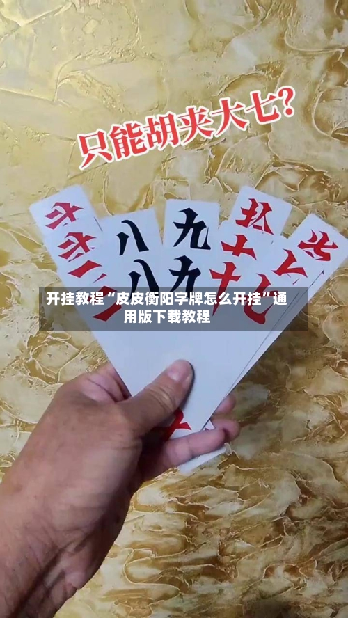 开挂教程“皮皮衡阳字牌怎么开挂	”通用版下载教程-第1张图片