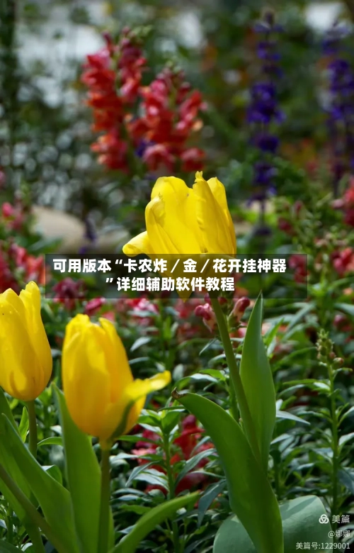 可用版本“卡农炸／金／花开挂神器	”详细辅助软件教程-第1张图片