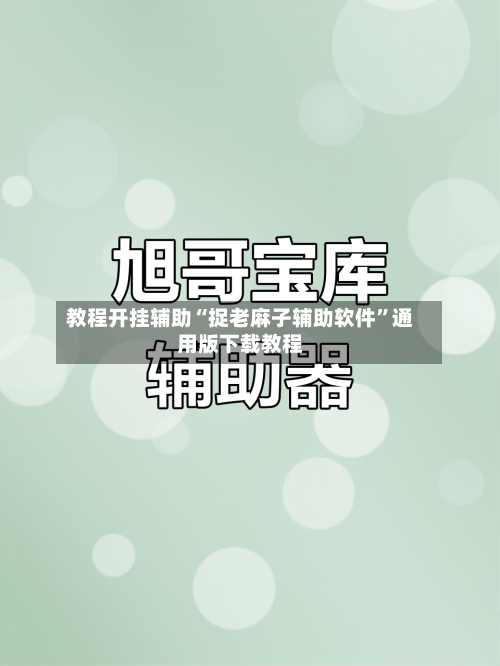 教程开挂辅助“捉老麻子辅助软件	”通用版下载教程-第1张图片