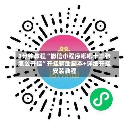 3分钟教程“微信小程序嘟嘟十三张怎么开挂	”开挂辅助脚本+详细开挂安装教程-第1张图片