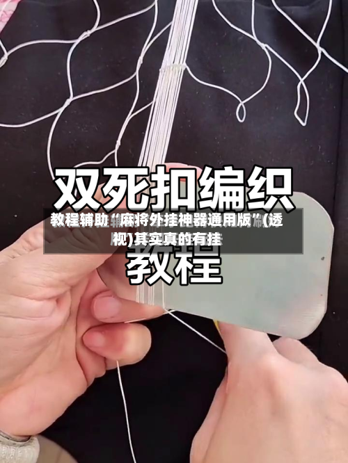 教程辅助“麻将外挂神器通用版”(透视)其实真的有挂-第1张图片