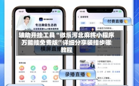 辅助开挂工具“微乐河北麻将小程序万能挂免费版”详细分享装挂步骤教程-第1张图片