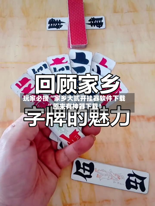 玩家必搜“家乡大贰开挂器软件下载”原来有神器下载！-第1张图片