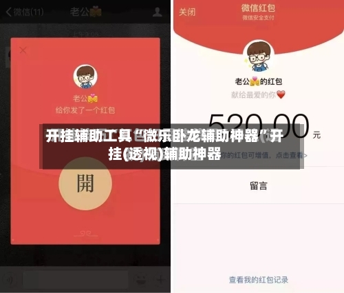 开挂辅助工具“微乐卧龙辅助神器”开挂(透视)辅助神器-第1张图片