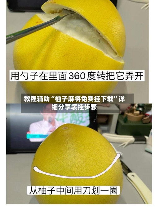教程辅助“柚子麻将免费挂下载	”详细分享装挂步骤-第1张图片