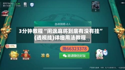 3分钟教程“闲逸麻将到底有没有挂”(透视挂)详细用法教程-第1张图片