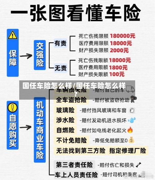 国任车险怎么样/国任车险怎么样?-第1张图片