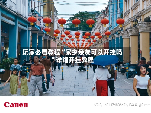 玩家必看教程“家乡亲友可以开挂吗”详细开挂教程-第1张图片