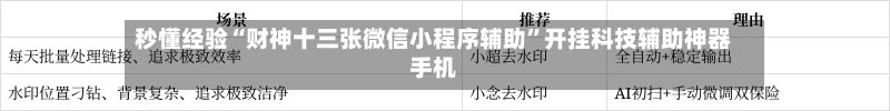 秒懂经验“财神十三张微信小程序辅助”开挂科技辅助神器手机-第1张图片