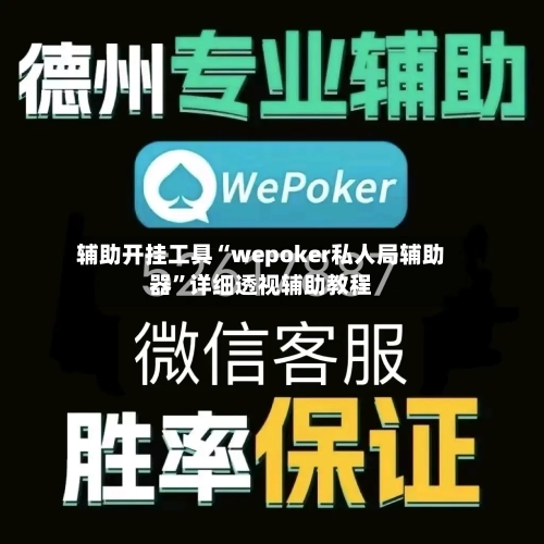 辅助开挂工具“wepoker私人局辅助器”详细透视辅助教程-第1张图片
