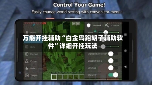 万能开挂辅助“白金岛跑胡子辅助软件”详细开挂玩法-第1张图片