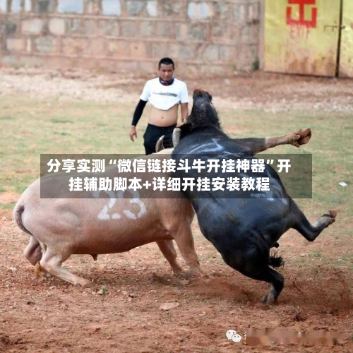 分享实测“微信链接斗牛开挂神器”开挂辅助脚本+详细开挂安装教程-第1张图片