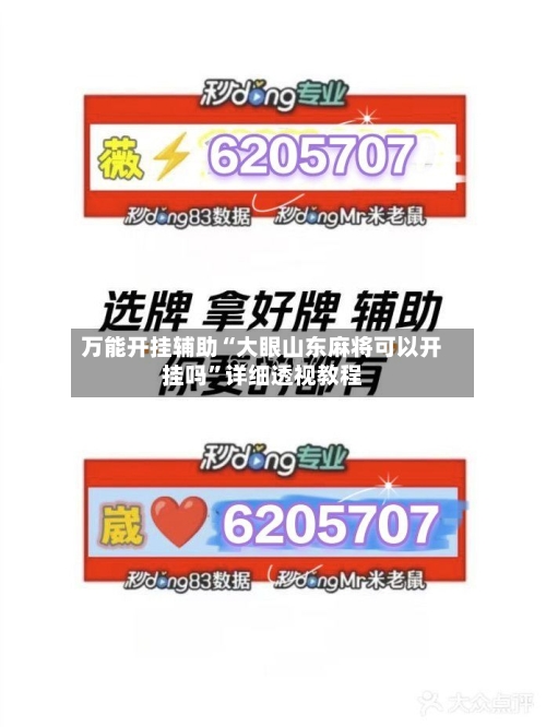 万能开挂辅助“大眼山东麻将可以开挂吗”详细透视教程-第1张图片