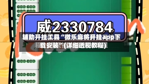 辅助开挂工具“微乐麻将开挂app下载安装”(详细透视教程)-第1张图片