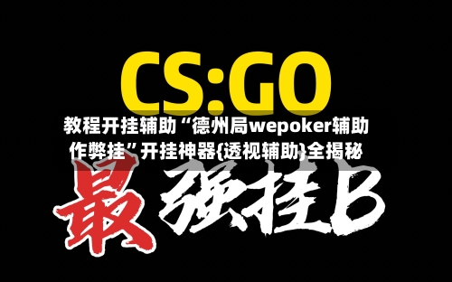 教程开挂辅助“德州局wepoker辅助作弊挂”开挂神器{透视辅助}全揭秘-第1张图片