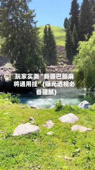 玩家实测“新疆巴郎麻将通用挂”(曝光透视必备猫腻)-第1张图片