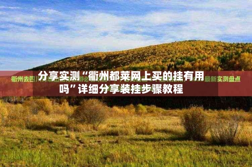 分享实测“衢州都莱网上买的挂有用吗	”详细分享装挂步骤教程-第1张图片