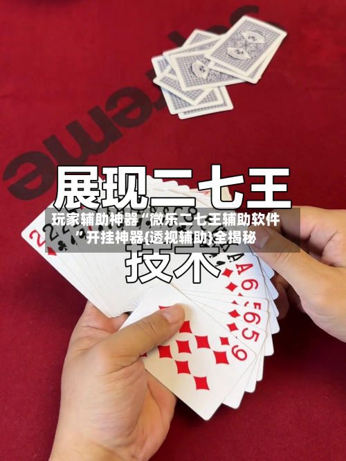玩家辅助神器“微乐二七王辅助软件”开挂神器{透视辅助}全揭秘-第1张图片