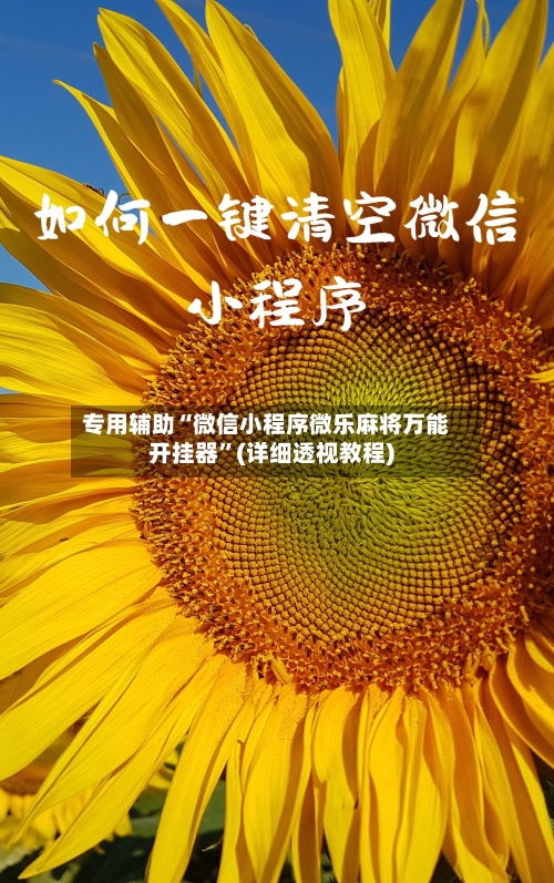 专用辅助“微信小程序微乐麻将万能开挂器”(详细透视教程)-第1张图片